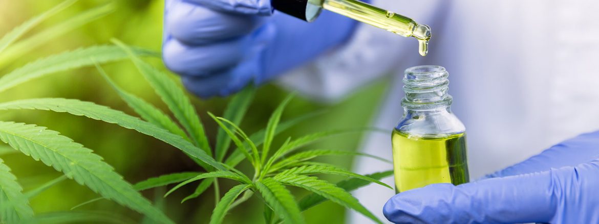 Benefits of using cannabidiol  oil in various aspects.