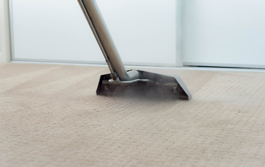 Steps To Professional Carpet Cleaning In Sacramento, CA