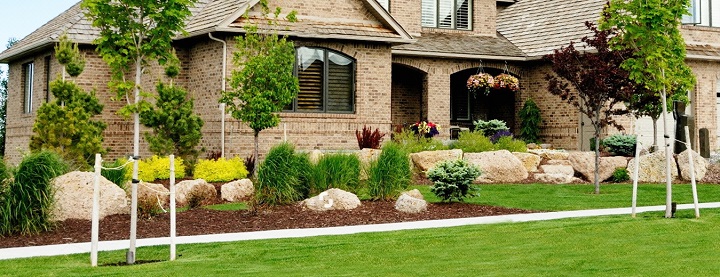 Creating a Green Haven: Intelligent Watering for an Ecological Landscape