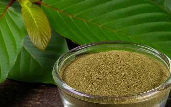 kratom extraction methods
